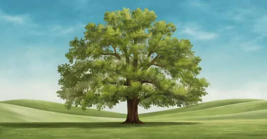 Independência Financeira: Como Conquistar e Viver Sem Preocupações